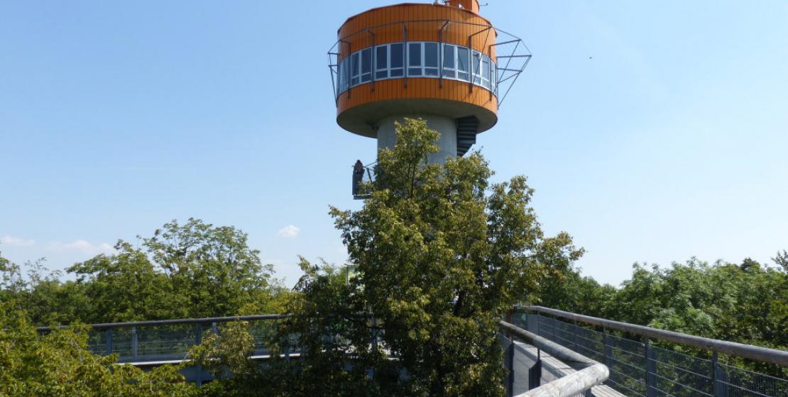 Welterberegion Wartburg Hainich - hier kennt Natur und Kultur keine Grenzen