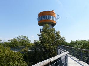 Baumkronenpfad im Nationalpark Hainich. Foto: © bastiaan auf Pixabay