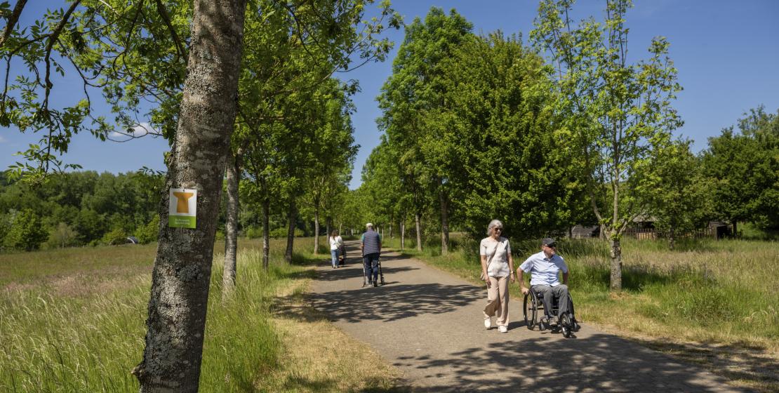Das Saarland lädt zu barrierefreien Naturerlebnissen ein