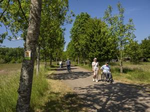 Wandern mit Rollstuhl im Europäischen Kulturpark | © Manuela Meyer
