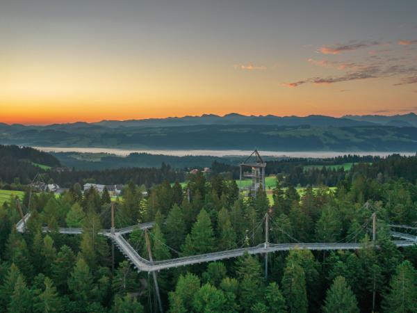 Waldwelt Skywalk Allgäu von oben | © Jonas de Rosso