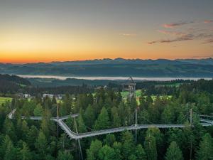 Waldwelt Skywalk Allgäu von oben | © Jonas de Rosso