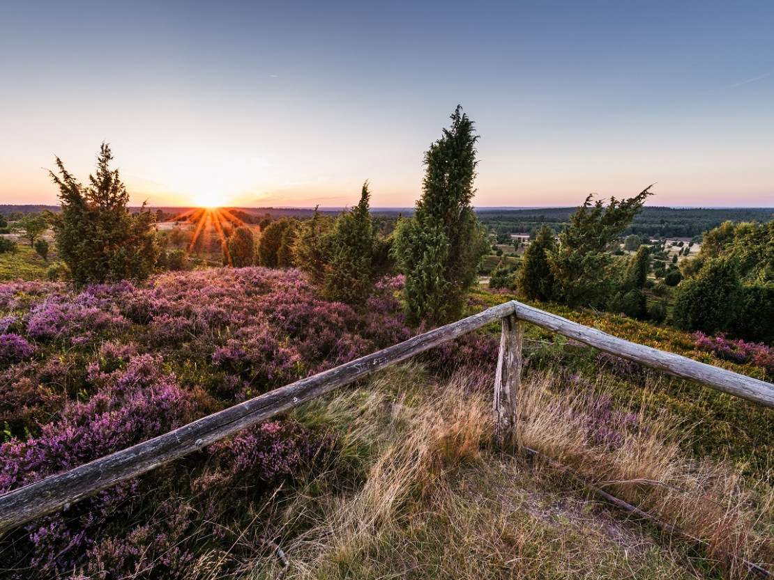 Blick vom Wilseder Berg_Lüneburger Heide GmbH Markus Tiemann_klein