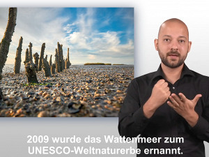 Gebärdensprachvideos über das Wattenmeer © Ostfriesland Tourismus GmbH
