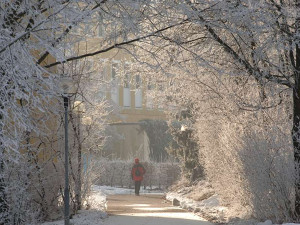 Ein Spaziergang an der frischen Luft, hier im Kurpark Bad Füssing, tut auch im Winter gut.