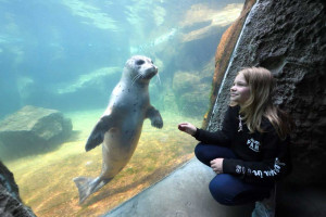 be-2021-bremerhaven-zoo-am-meer-16720-erlebnis12-c-wolfhard-scheer-erlebnis-bremerhaven