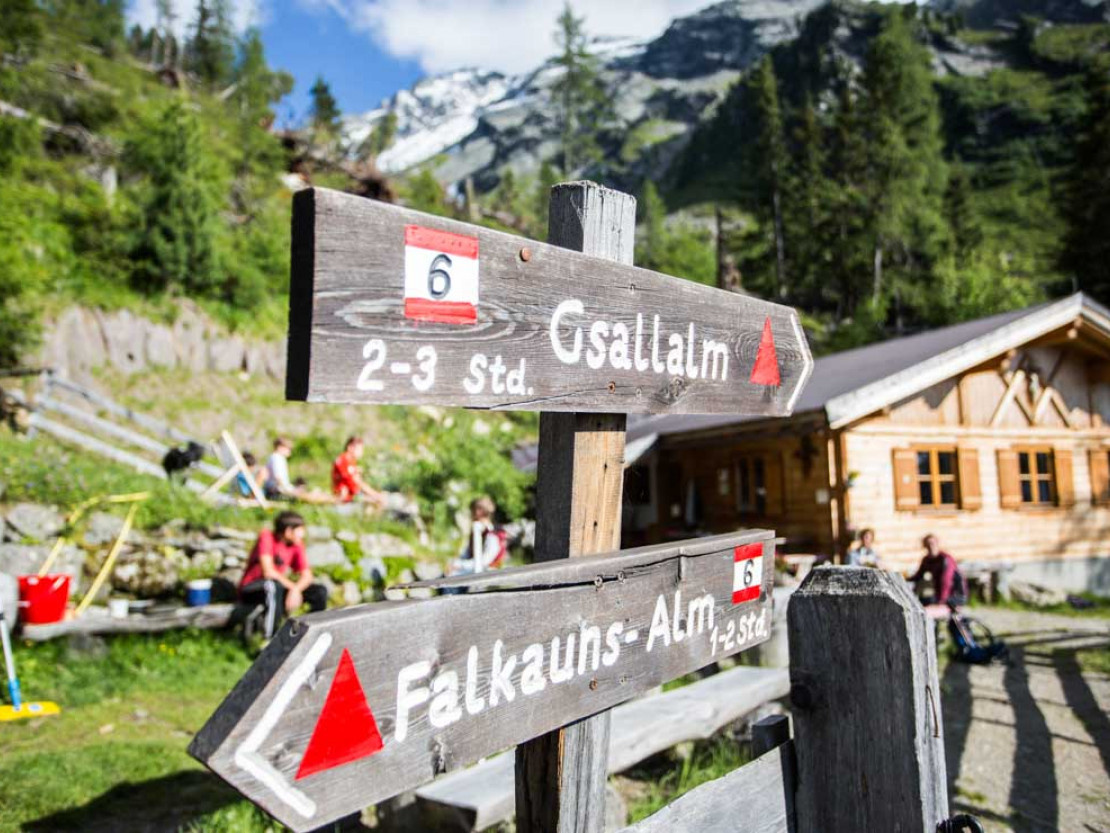 be-2021-kaunertal-c-tvb-tiroler-oberland-kaunertal-daniel-zangerl-2016-gallruthalm-16