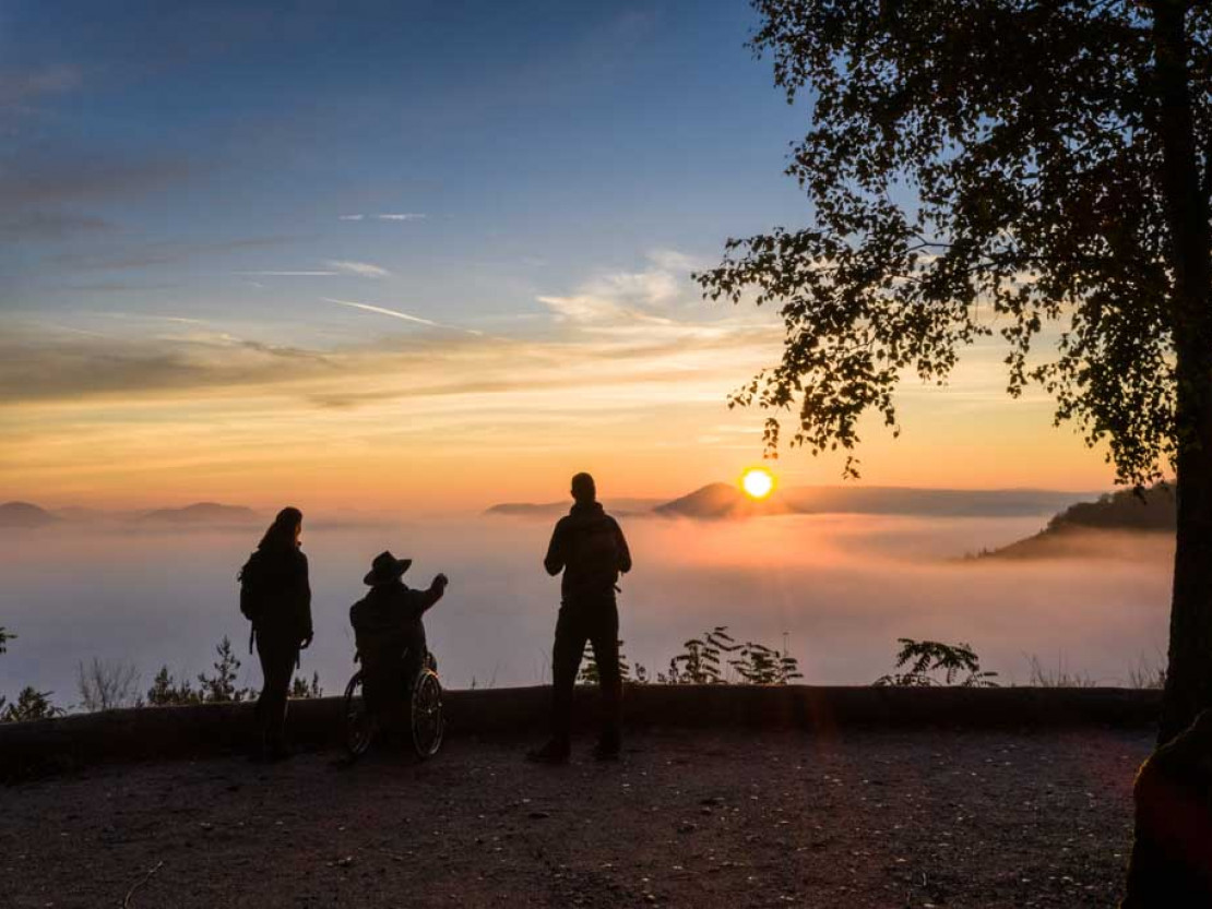 be-2021-rheinland-pfalz-pfalz-touristik-2019-338-aussichtsplattform-eyberg-dahn