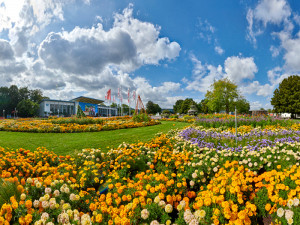 news-2021-barrierefrei-erleben-thueringen-erfurt-buga-2021-pano-egapark-teaser